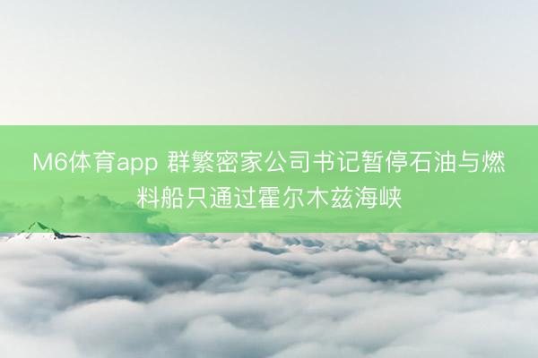 M6体育app 群繁密家公司书记暂停石油与燃料船只通过霍尔木兹海峡