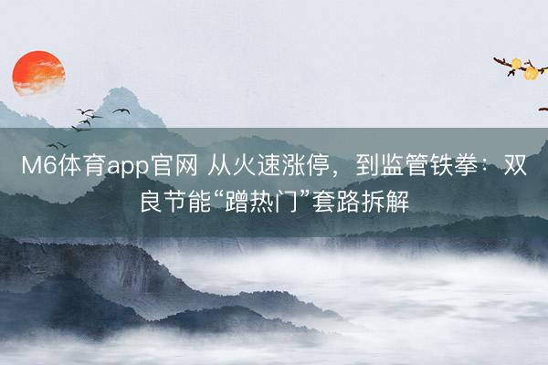 M6体育app官网 从火速涨停，到监管铁拳：双良节能“蹭热门”套路拆解