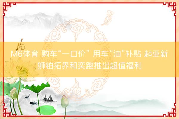 M6体育 购车“一口价” 用车“油”补贴 起亚新狮铂拓界和奕跑推出超值福利