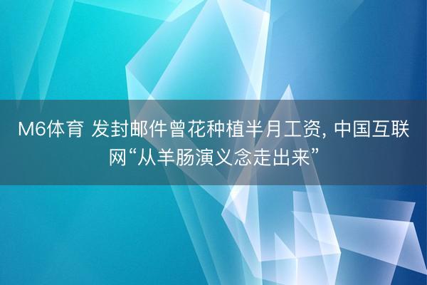 M6体育 发封邮件曾花种植半月工资, 中国互联网“从羊肠演义念走出来”